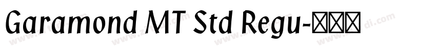 Garamond MT Std Regu字体转换